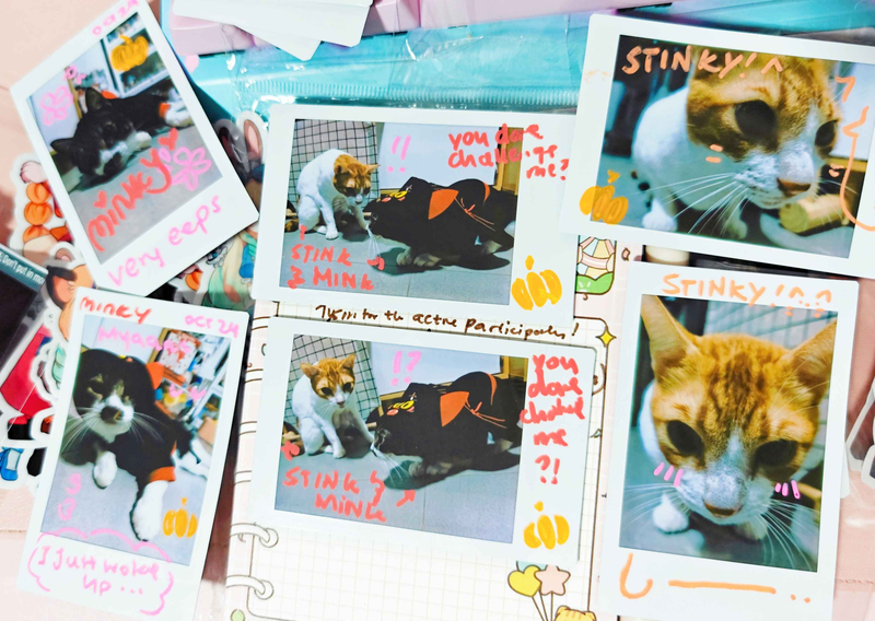 image-2025-01-06-233104914